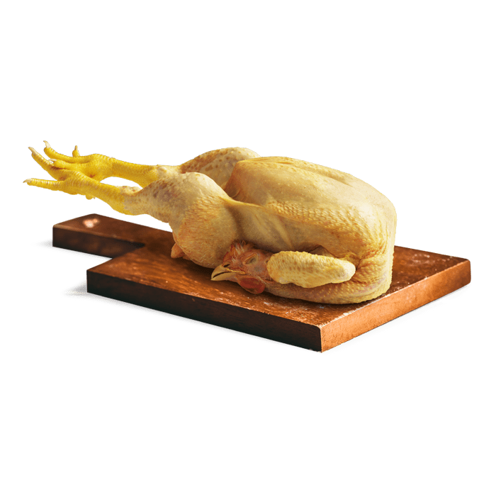 Classico Testa Zampa